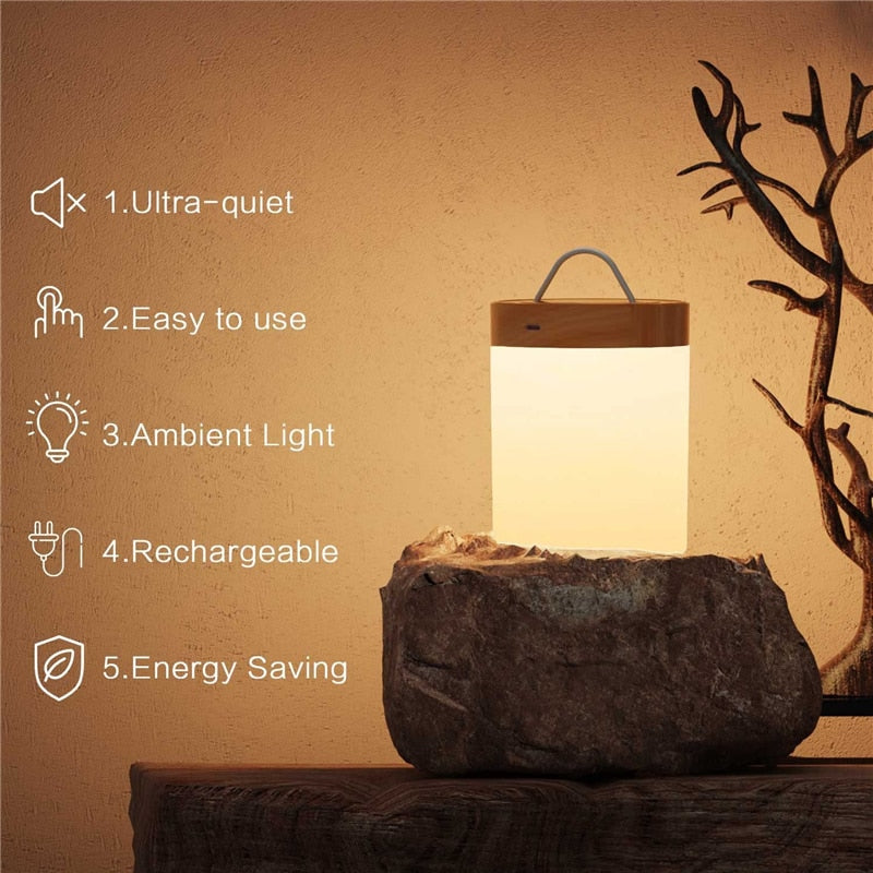 Night Light Touch Sensor Lamp.